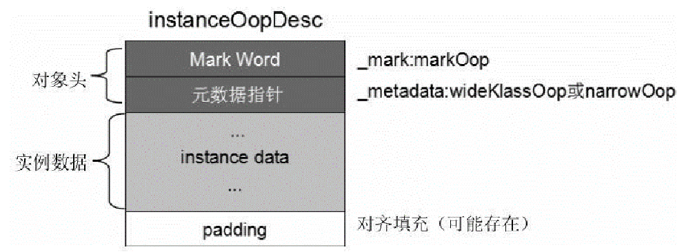 image-20250103142807801
